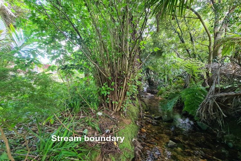 Photo of property in 40 Driving Creek Road, Coromandel, 3506