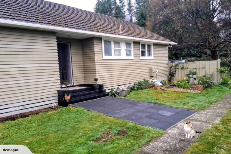 Photo of property in 31 Maire Street, Wairakei, Taupo, 3332