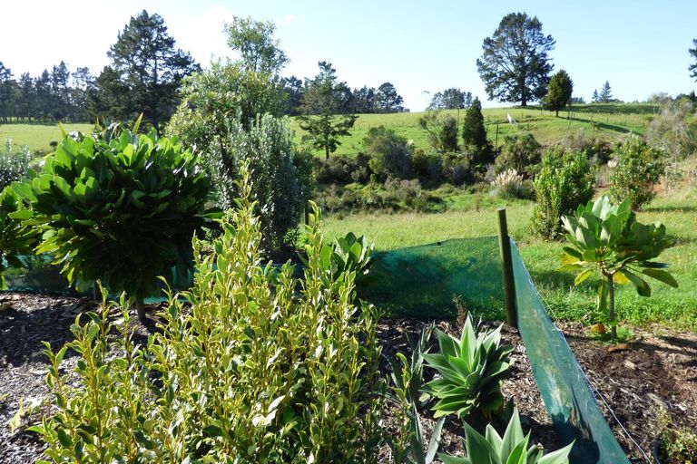 Photo of property in 53 Puriri Dale Way, Waipapa, Kerikeri, 0295