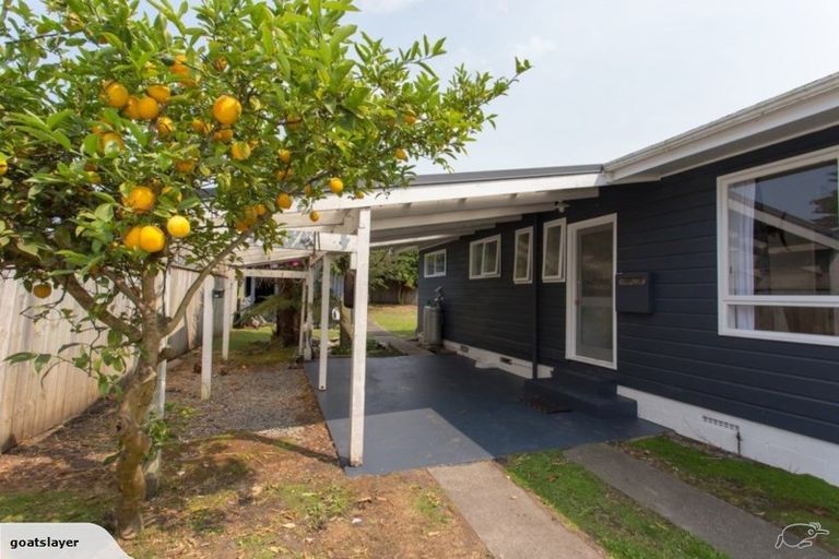 Photo of property in 100 Putiki Drive, Putiki, Whanganui, 4500