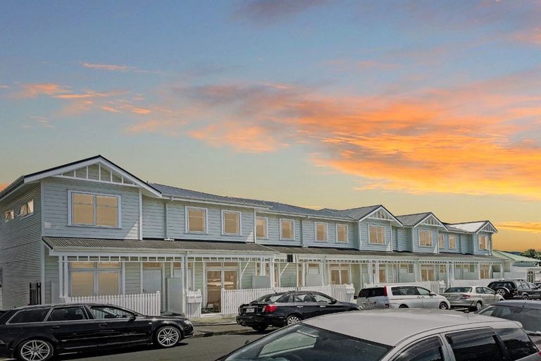 Photo of property in Aniva Terrace, 18 Ferguson Street, Newtown, Wellington, 6021