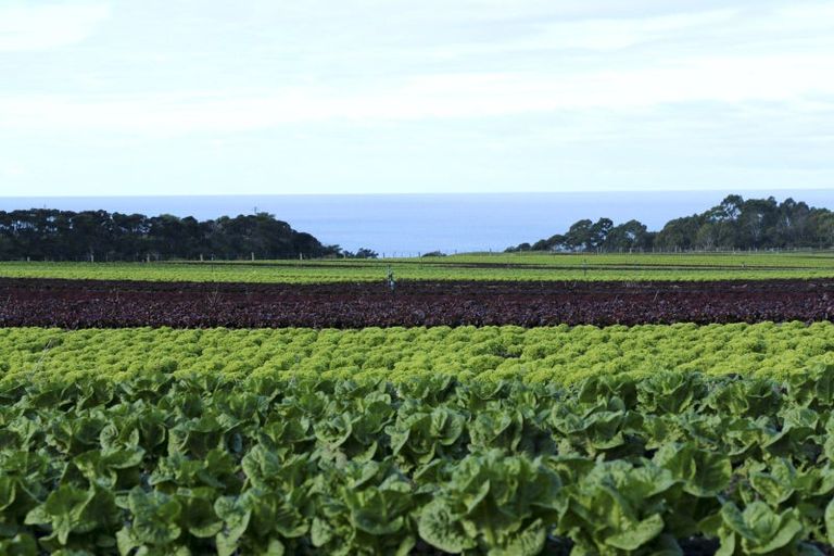 Photo of property in 2/600 Conway Flat Road, Conway Flat, Cheviot, 7384