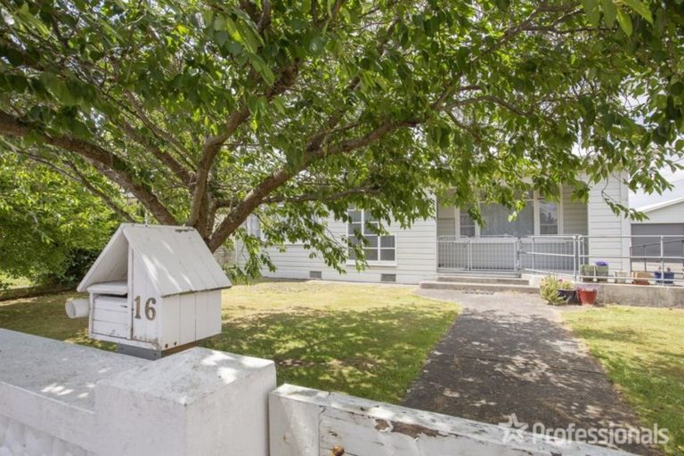 Photo of property in 16 Devon Street, Solway, Masterton, 5810