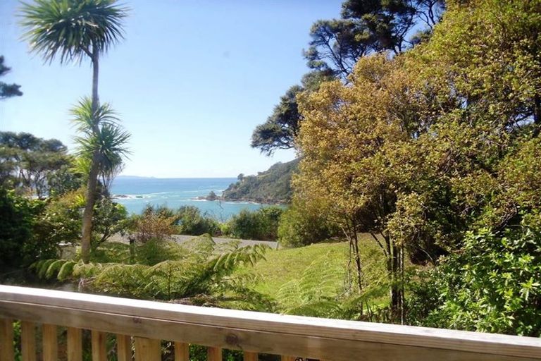 Photo of property in 4 Waikawau Beach Road, Waikawau, Coromandel, 3584