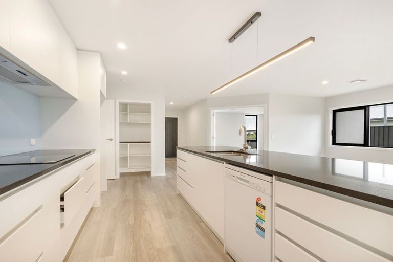 Photo of property in 61 Pelorus Avenue, Poraiti, Napier, 4112