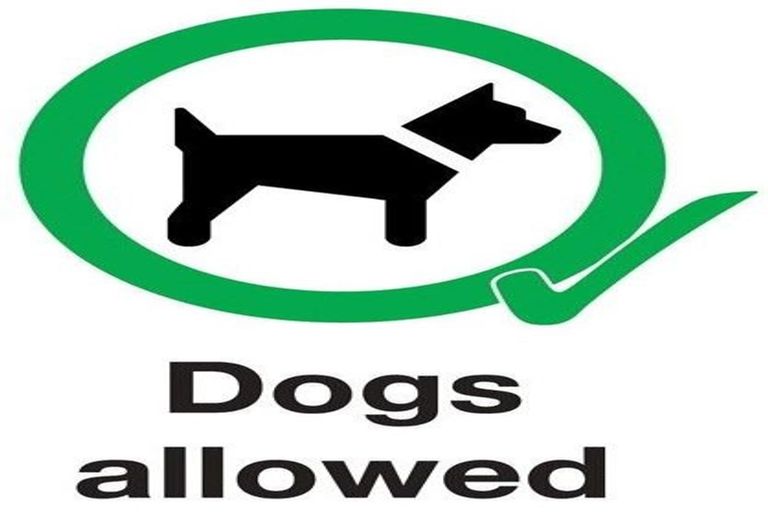 Photo of property in 13 Cranberry Place, Bucklands Beach, Auckland, 2012