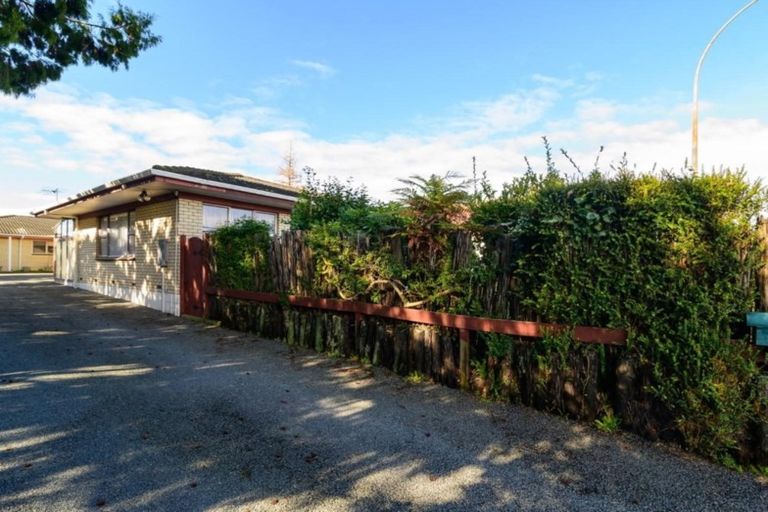 Photo of property in 104a Ranolf Street, Glenholme, Rotorua, 3010