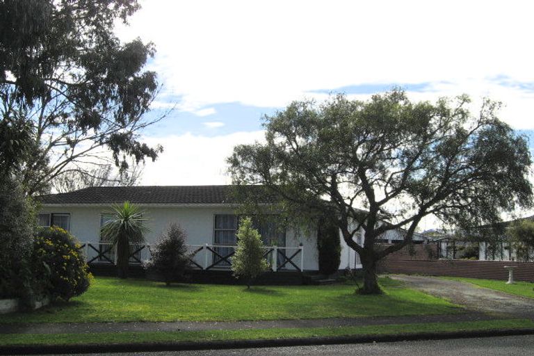 Photo of property in 11 Martin Harvey Street, Levin, 5510