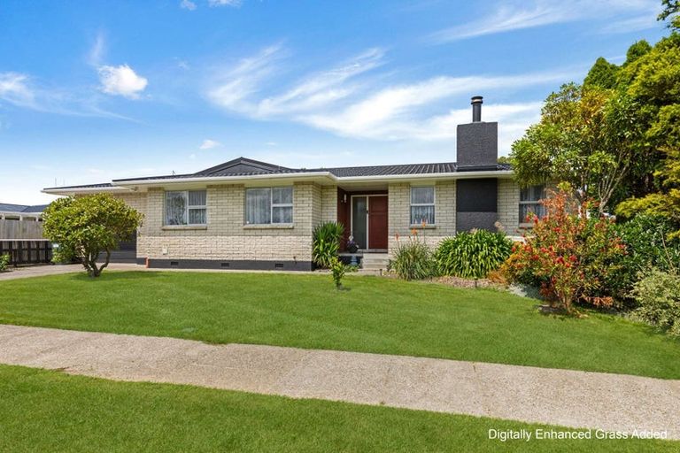 Photo of property in 134 Stanford Street North, Ashhurst, 4810