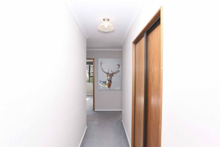 Photo of property in 50 Tanner Street, Grasmere, Invercargill, 9810