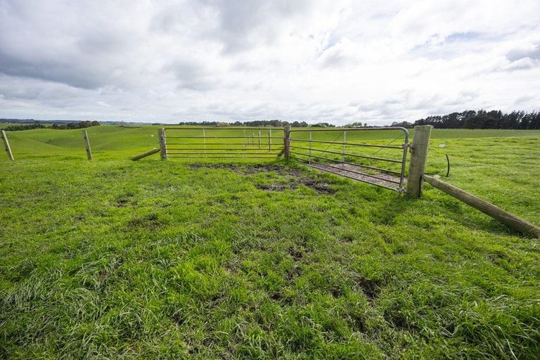 Photo of property in 234 Sandon Road, Feilding, 4779