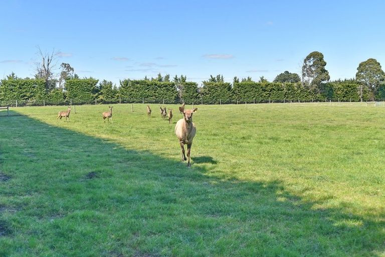 Photo of property in 496 West Melton Road, West Melton, Christchurch, 7676