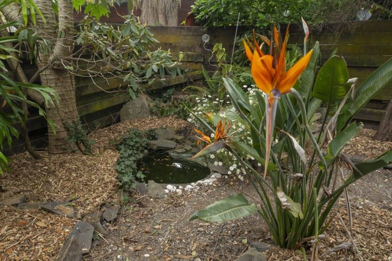 Photo of property in 69c Thirteenth Avenue, Tauranga South, Tauranga, 3112