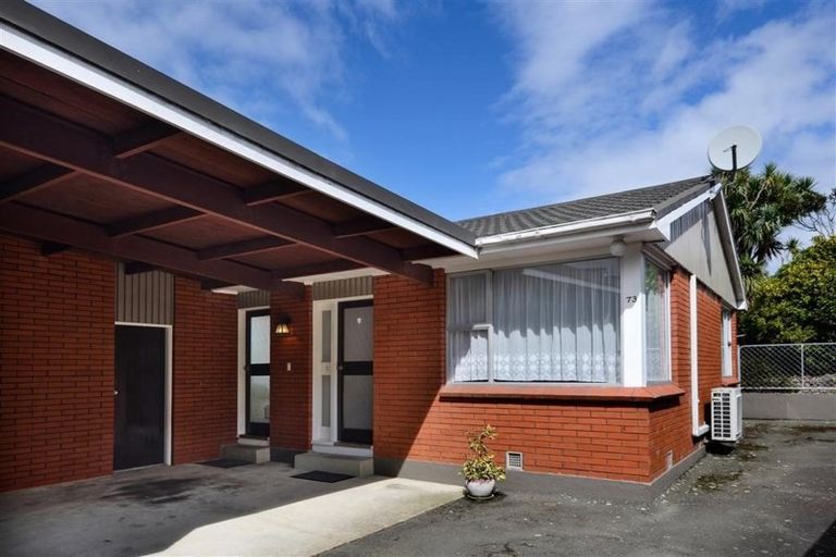 Photo of property in 73 Hawthorn Avenue, Mornington, Dunedin, 9011