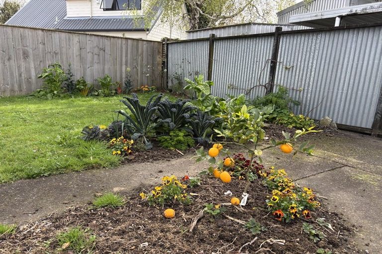 Photo of property in 26 Churchill Avenue, Maeroa, Hamilton, 3200