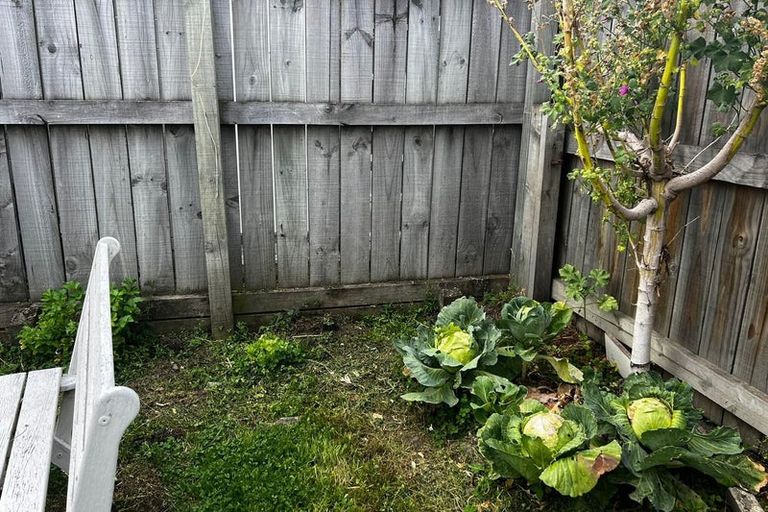 Photo of property in 65 David Street, Caversham, Dunedin, 9012