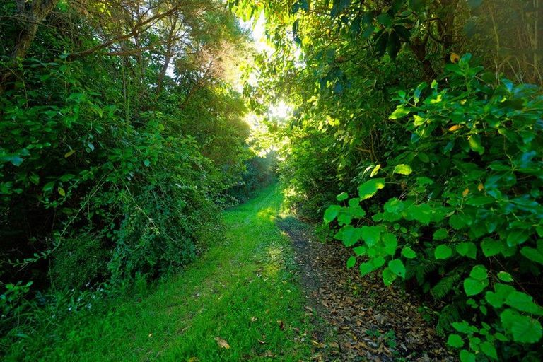 Photo of property in 759 Mount Fyffe Road, Kaikoura Flat, Kaikoura, 7371