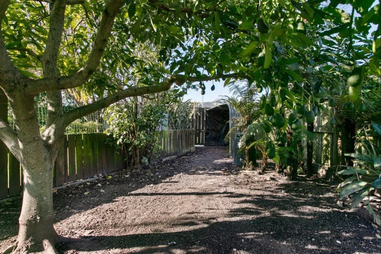 Photo of property in 515d Gladstone Road, Te Hapara, Gisborne, 4010