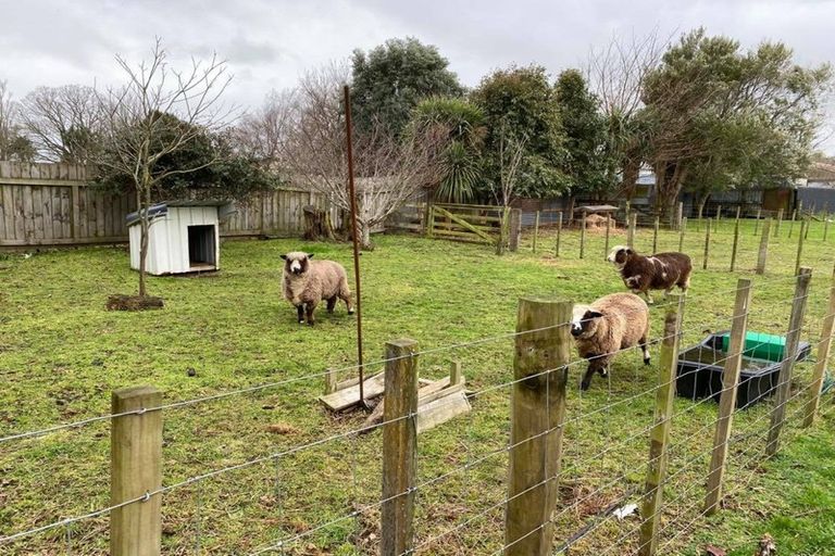 Photo of property in 24 Tayler Street, Eltham, 4322