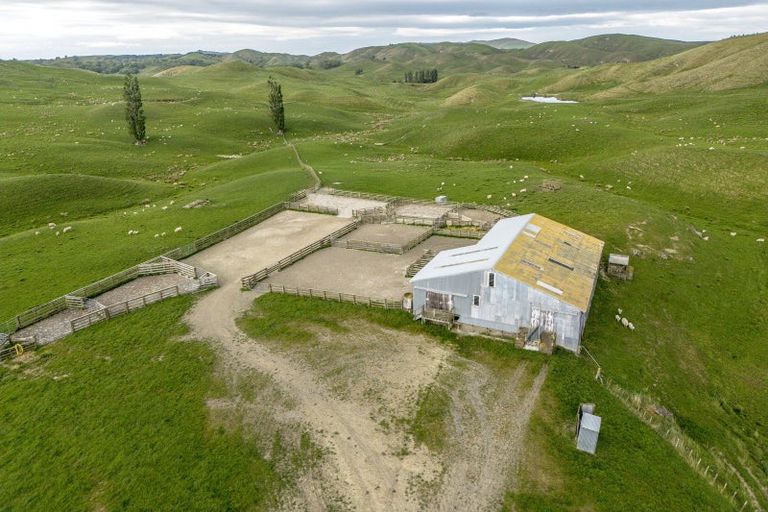 Photo of property in 300 Pattison Road, Akina, Hastings, 4122