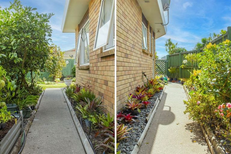 Photo of property in 164b Gloucester Road, Mount Maunganui, 3116