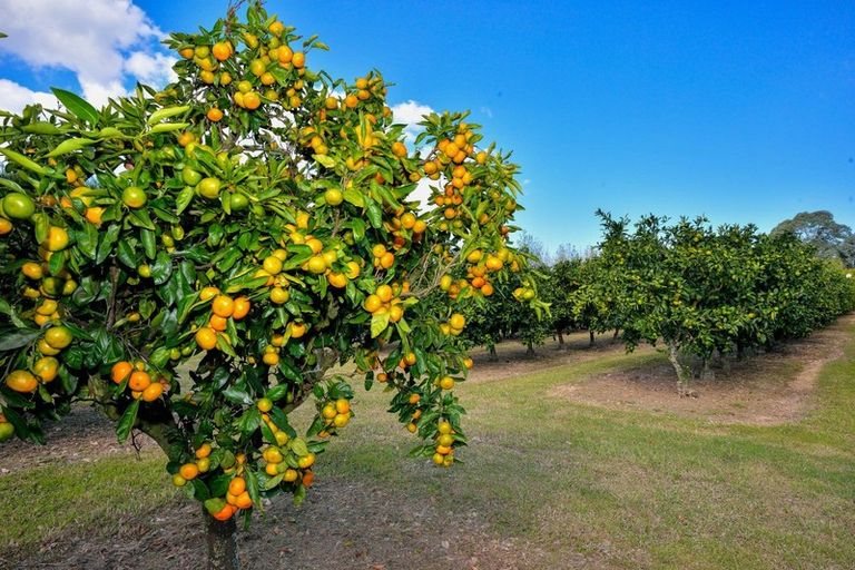 Photo of property in 271 Harper Road, Makauri, Gisborne, 4071