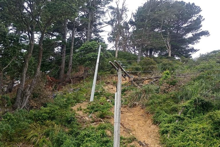 Photo of property in 818 Thames Coast Sh25 Road, Tapu, Thames, 3575