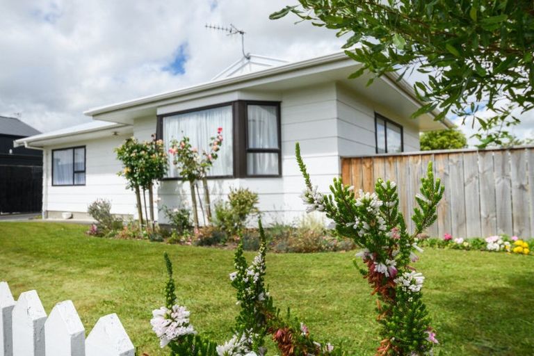 Photo of property in 46 Weld Street, Feilding, 4702