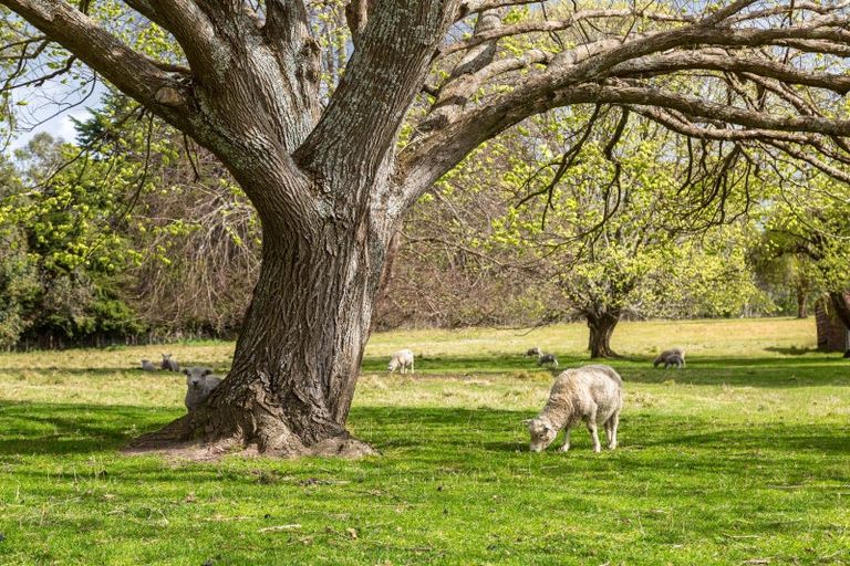 Photo of property in 188 Ahiaruhe Road, Ahiaruhe, Carterton, 5792