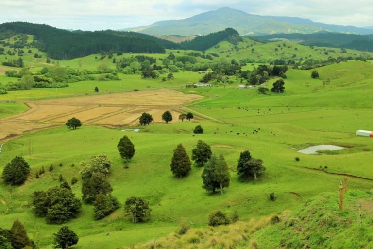 Photo of property in 1008 Tangowahine Valley Road, Tangowahine, Dargaville, 0372