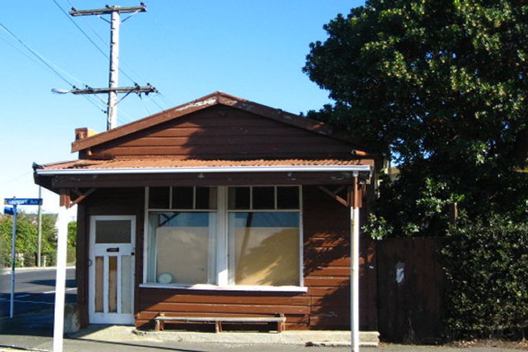 Photo of property in 132 Glenpark Avenue, Maryhill, Dunedin, 9011