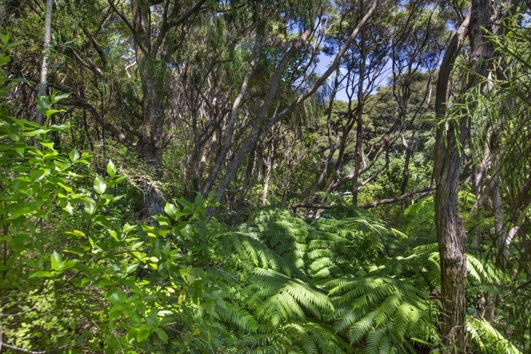 Photo of property in 27a Whaanga Road, Raglan, 3297