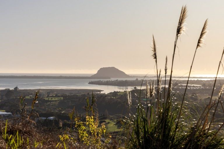 Photo of property in 213e Minden Road, Minden, Tauranga, 3176