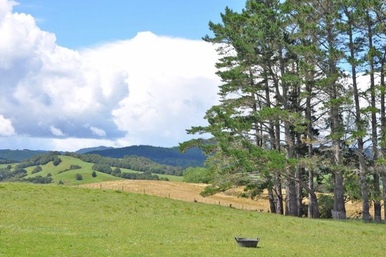 Photo of property in 66 Waiteitei Road, Wellsford, 0974