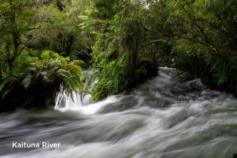 Photo of property in 4 Malvern Road, Okere Falls, Rotorua, 3074
