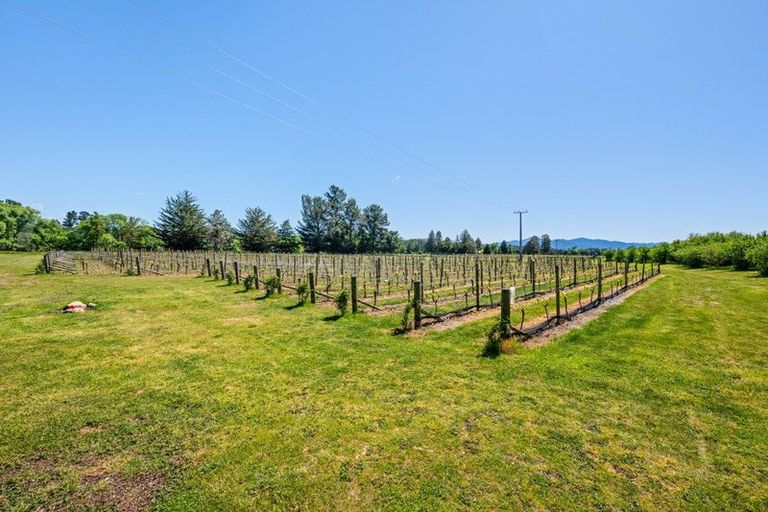Photo of property in 191 Tyntesfield Road, Waihopai Valley, Blenheim, 7276