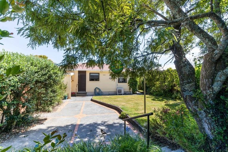 Photo of property in 4 Barclay Street, Ferndale, New Plymouth, 4310