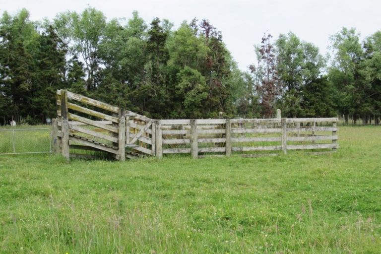 Photo of property in 104 Cd Farm Road, Levin, 5571