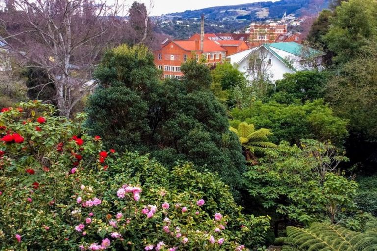 Photo of property in 15 Hatfield Street, Opoho, Dunedin, 9010