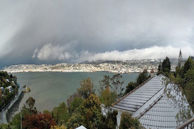 Photo of property in 9 Glengyle Street, Vauxhall, Dunedin, 9013