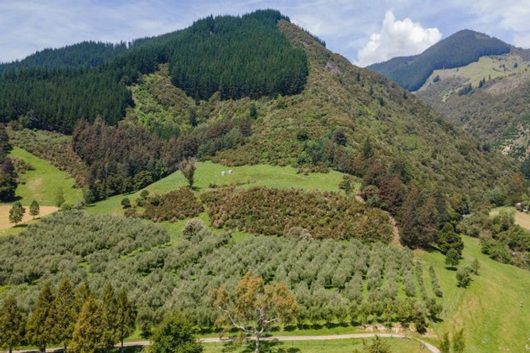 Photo of property in 145 Andrews Road, Wairoa Valley, Brightwater, 7091