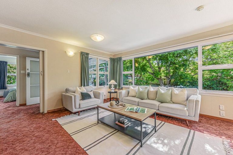 Photo of property in 3 Oldham Lane, The Wood, Nelson, 7010