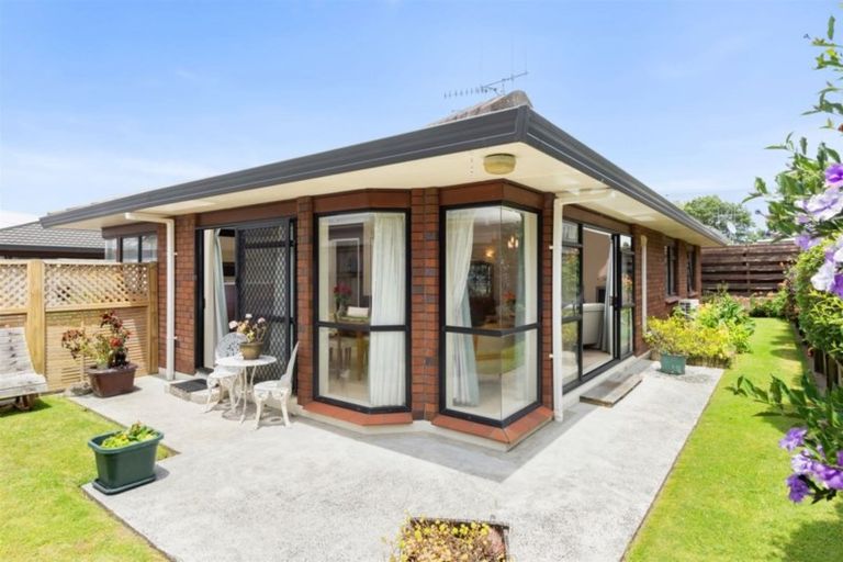 Photo of property in 93a Fraser Street, Tauranga South, Tauranga, 3112