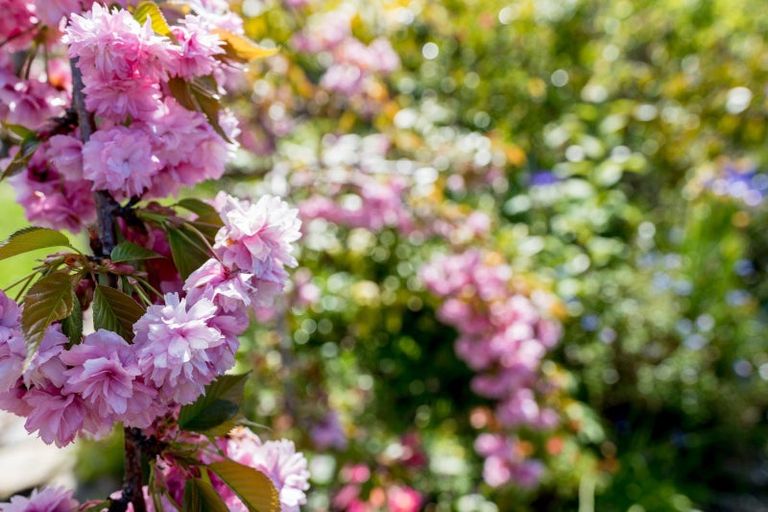 Photo of property in 59 Isadore Road, Saint Clair, Dunedin, 9012