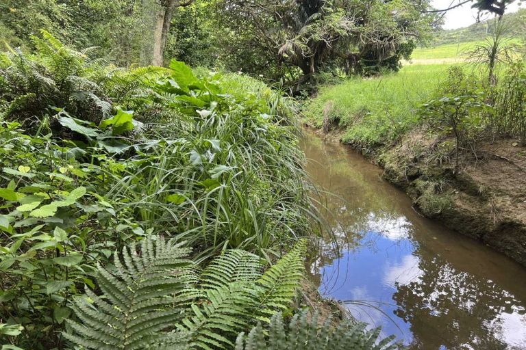 Photo of property in 568 Brown Road, Mangawhai, Kaiwaka, 0573