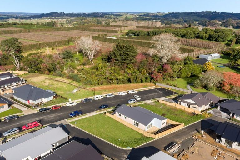 Photo of property in 44 Parau Drive, Bethlehem, Tauranga, 3110