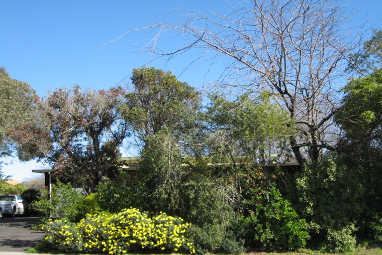 Photo of property in 72 Lucknow Road, Havelock North, 4130