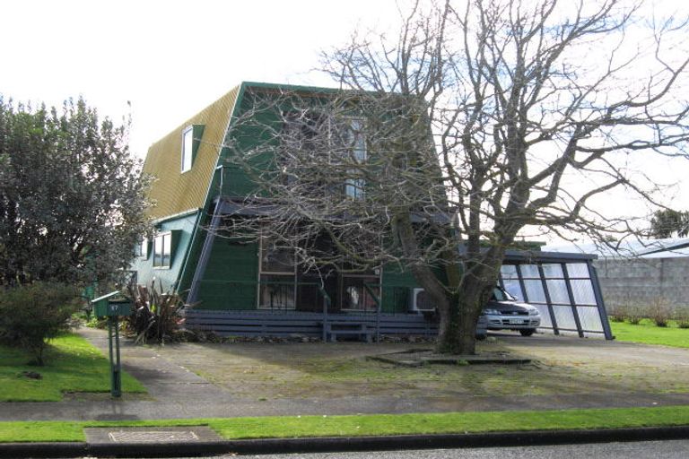 Photo of property in 17 Martin Harvey Street, Levin, 5510