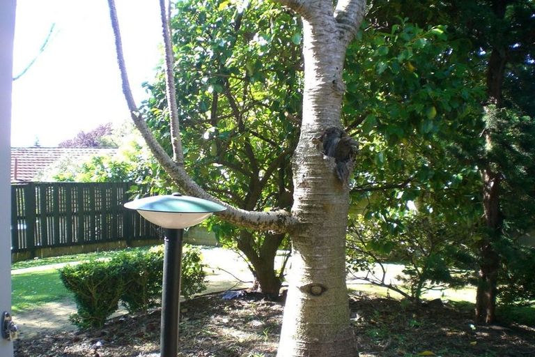 Photo of property in 9/533 Manukau Road, Epsom, Auckland, 1023