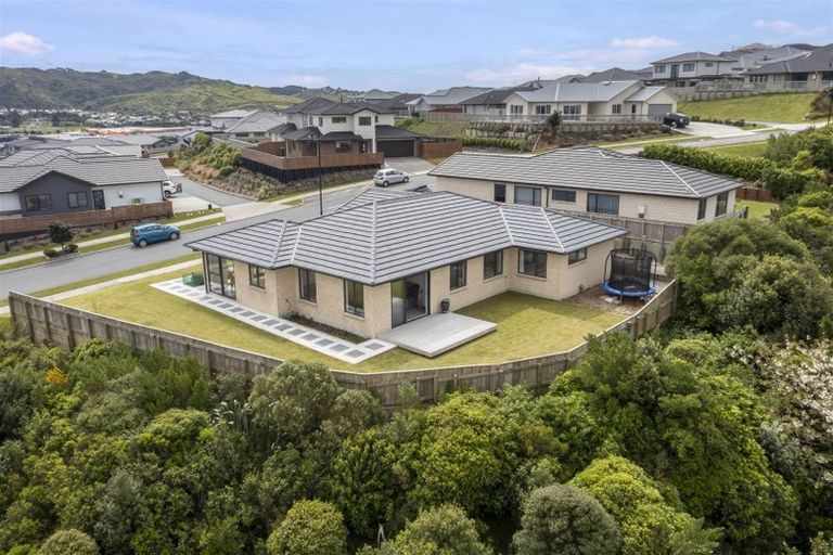 Photo of property in 174 John Burke Drive, Aotea, Porirua, 5024